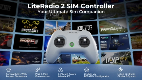 LiteRadio 2 SIM controller - gray