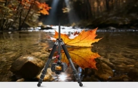Wielofunkcyjny statyw fotograficzny marki Freewell 5in1