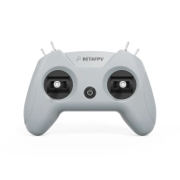 LiteRadio 2 SIM controller - gray