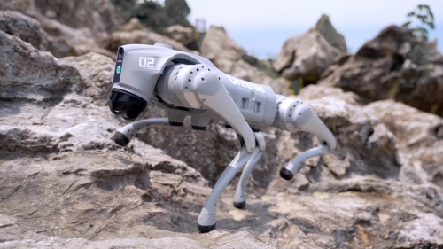 Unitree Go2 Edu robot