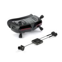 Walksnail Avatar HD Goggles X (Pro Kit, Dual Antennas Version)