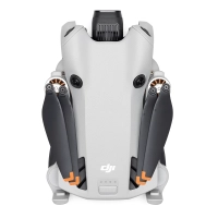 DJI Mini 4 Pro Fly More Combo (RC 2) 